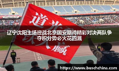 辽宁沈阳主场迎战北京国安期待精彩对决两队争夺积分势必火花四溅